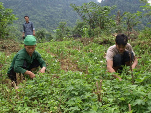 C&oacute; một Đ&agrave; Lạt tuyệt đẹp ở Thanh H&oacute;a