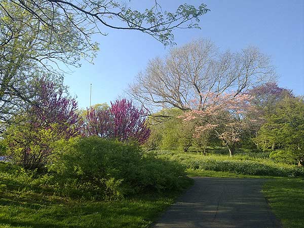 le hoi hoa tu dinh huong