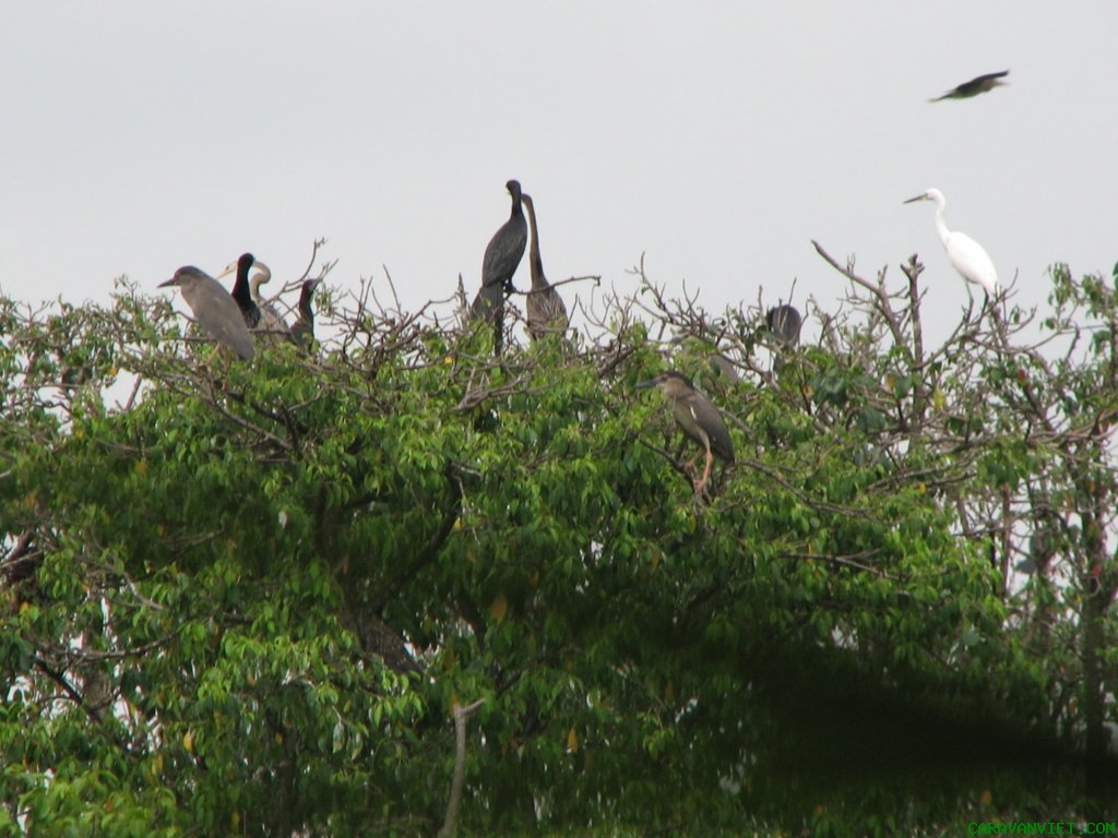 Điểm du lịch h&egrave; l&yacute; tưởng V&agrave;m S&aacute;t