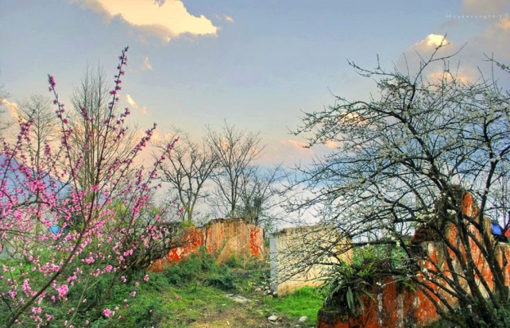 Xuân về những nẻo đường vùng cao