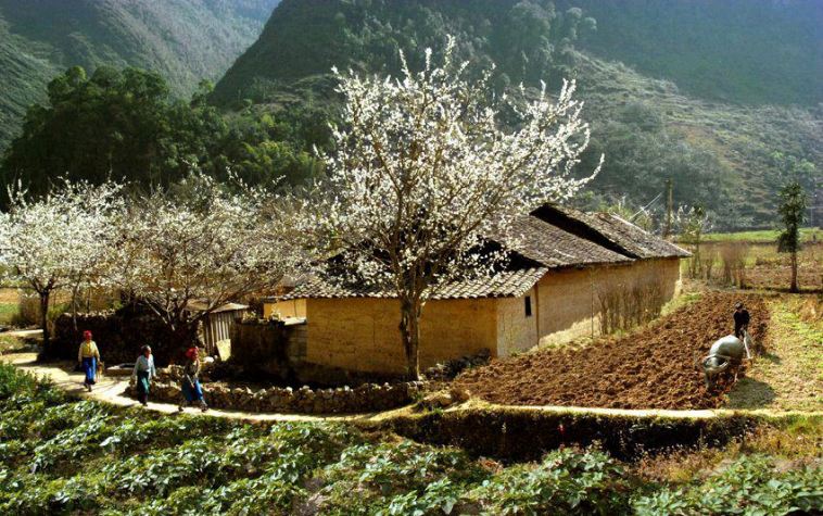 Xuân về những nẻo đường vùng cao