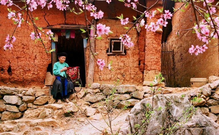 Xuân về những nẻo đường vùng cao