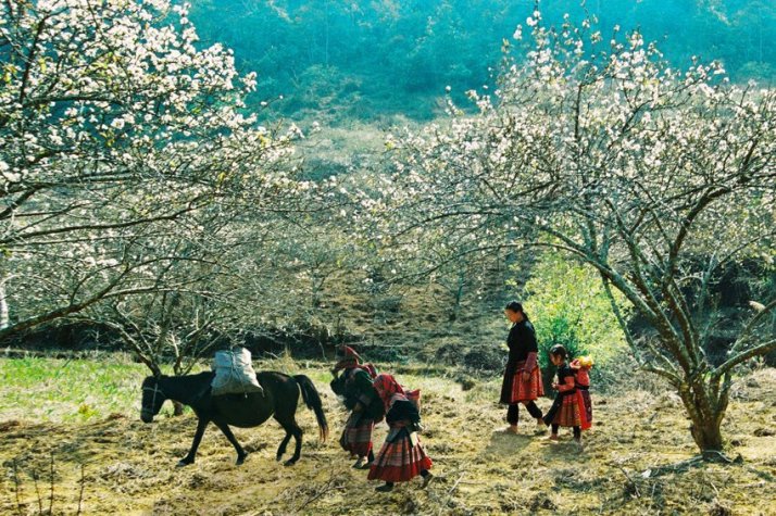 Xuân về những nẻo đường vùng cao