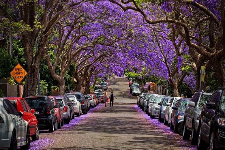 Tour Tour Nam Phi: Hà Nội - Johannesburg - Pretoria - Cape Town - Săn Cá Voi 8N7Đ Trọn gói chỉ từ 64Tr