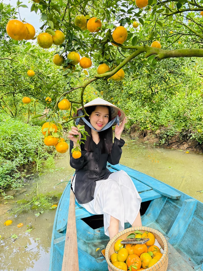 Ở Lai Vung có những vườn quýt đẹp hút khách không kém Làng hoa Sa Đéc