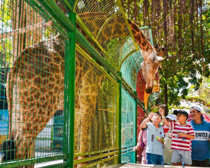 Khu vui chơi mở cửa xuyên Tết ở TP HCM - Công viên văn hóa Đầm Sen