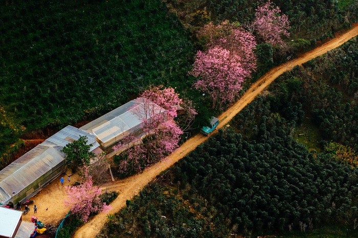 Mộng Đào Nguyên Đà Lạt cách trung tâm thành phố tầm 19km