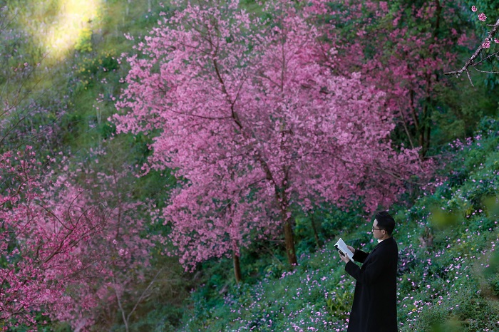 Bạn có thể lên Mộng Đào Nguyên Đà Lạt bằng xe máy hoặc xe jeep