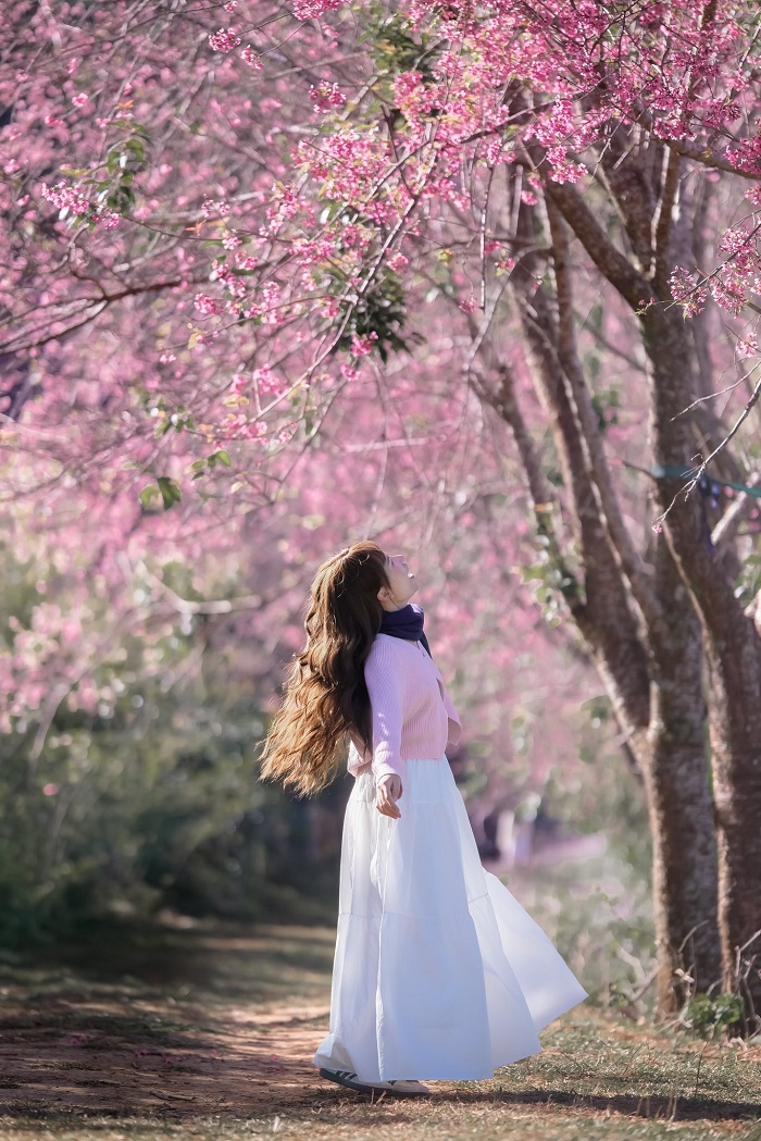 Tha hồ có ảnh đẹp mang về khi tới Mộng Đào Nguyên Đà Lạt