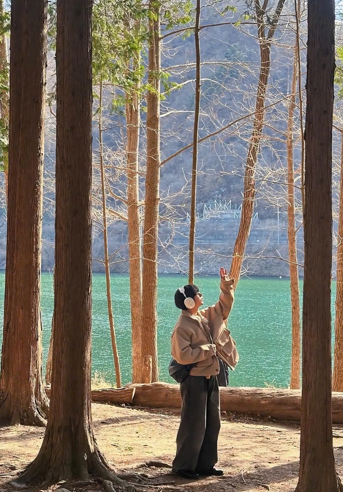 Mùa xuân Hàn Quốc nên đi đâu, Góc nào trên đảo Nami lên ảnh cũng xinh lung linh