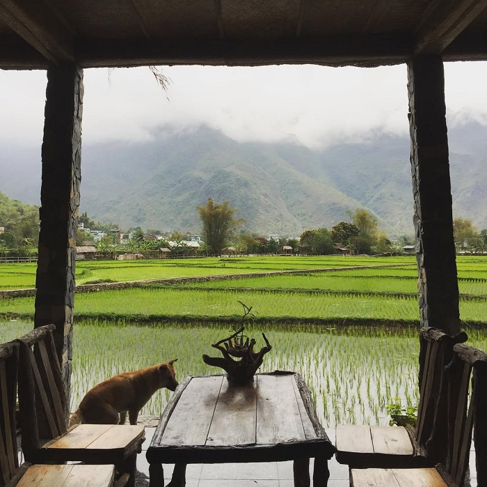 Bản Pom Cọong là bản làng đẹp ở Hòa Bình với khung cảnh yên bình