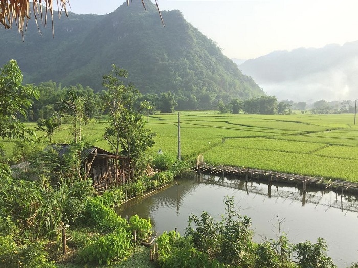 Bản Pom Cọong là bản làng đẹp ở Hòa Bình, khung cảnh cực chill