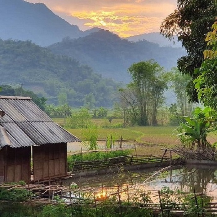 Bản Nhót là bản làng đẹp ở Hòa Bình mang lại sự êm đềm, thư thái