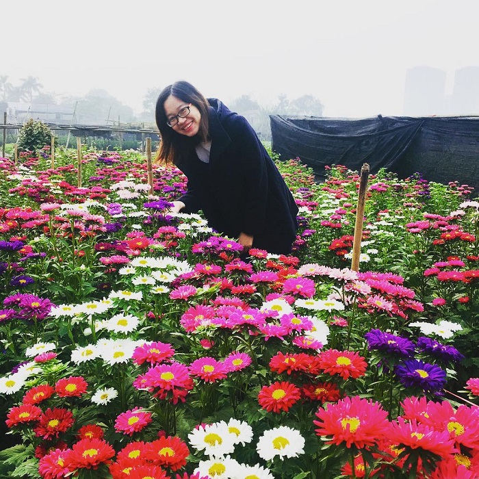 Chợ hoa Tây Tựu là chợ hoa đẹp tại Hà Nội lâu đời