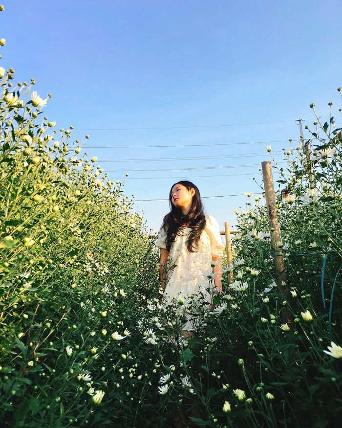 Chợ hoa Tây Tựu là chợ hoa đẹp tại Hà Nội mà bạn không thể bỏ qua