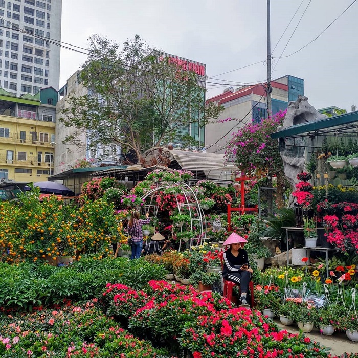 Chợ hoa Vạn Phúc là chợ hoa đẹp tại Hà Nội đa dạng hoa và cây cảnh 