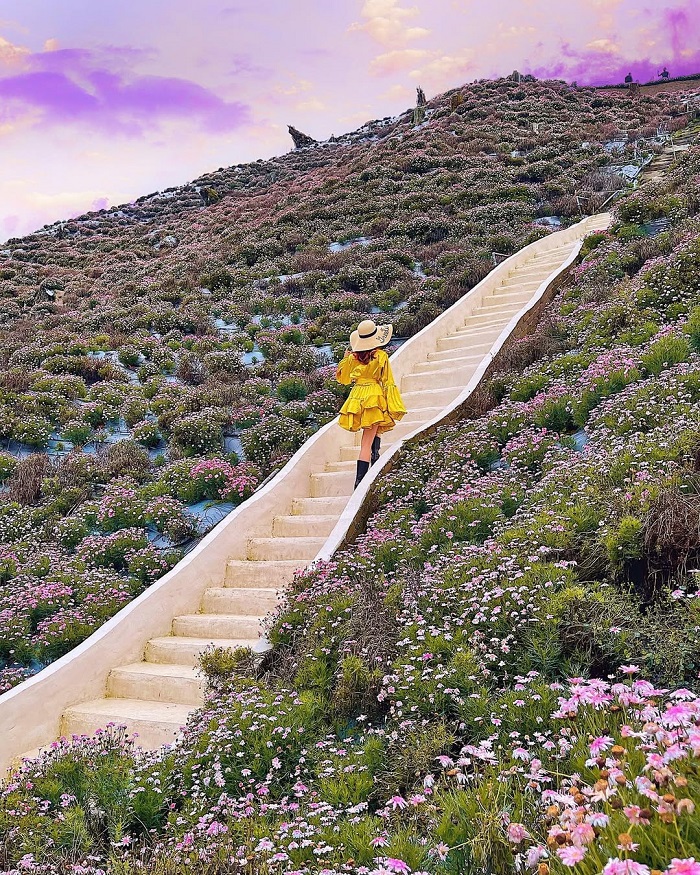 Công viên hoa Cameron Flora Malaysia ở đâu?