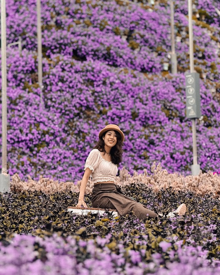 Công viên hoa Cameron Flora Malaysia có diện tích trồng hoa cực lớn