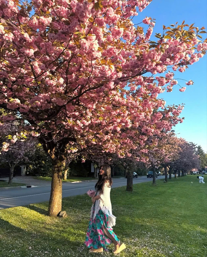 Thông tin về các địa điểm du lịch Canada mùa xuân