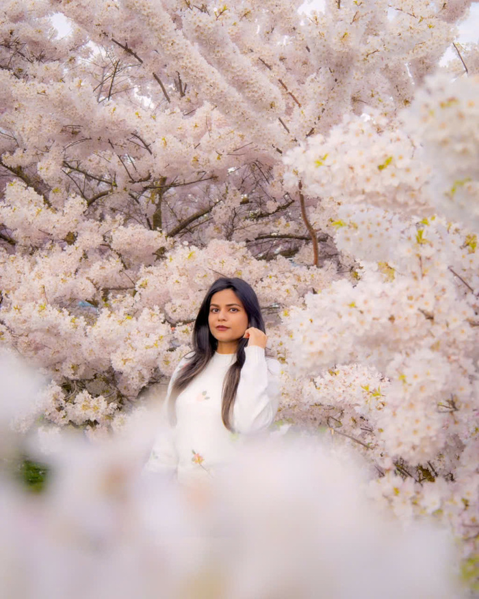 Các địa điểm du lịch Canada mùa xuân - Vancouver