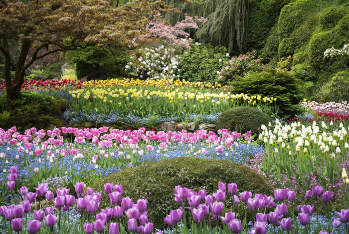 Các địa điểm du lịch Canada mùa xuân - Công viên Butchart Gardens