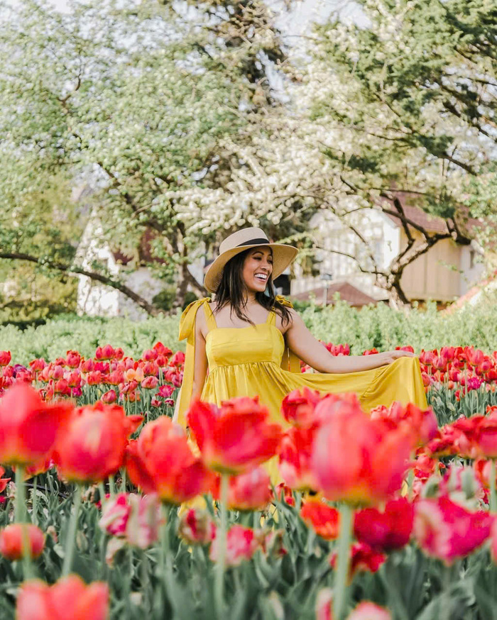 Các địa điểm du lịch Canada mùa xuân - Ottawa