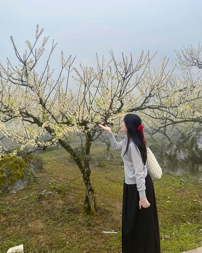 Pa Phách là điểm ngắm hoa mận Mộc Châu với nhiều điểm check in đẹp