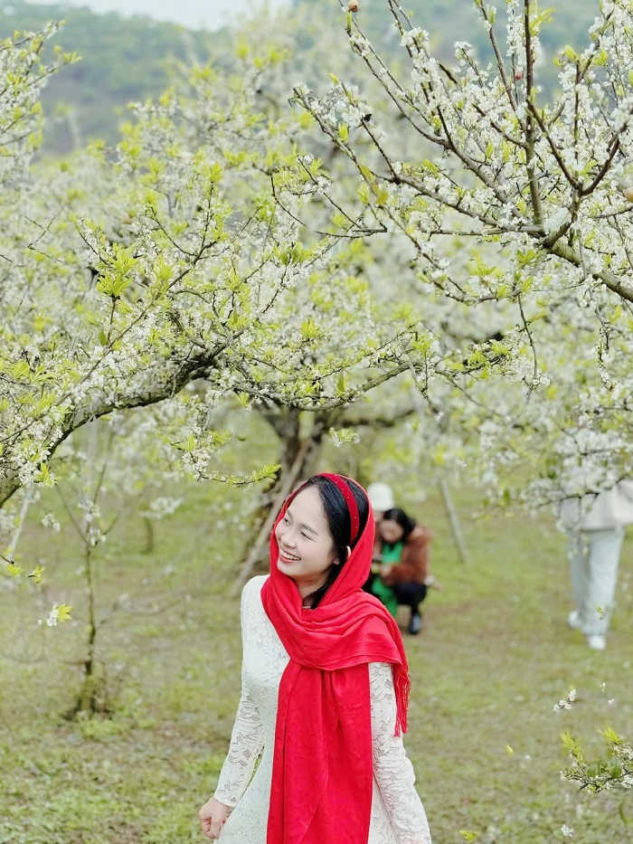 Lưu ý khi khám phá các điểm ngắm hoa mận Mộc Châu