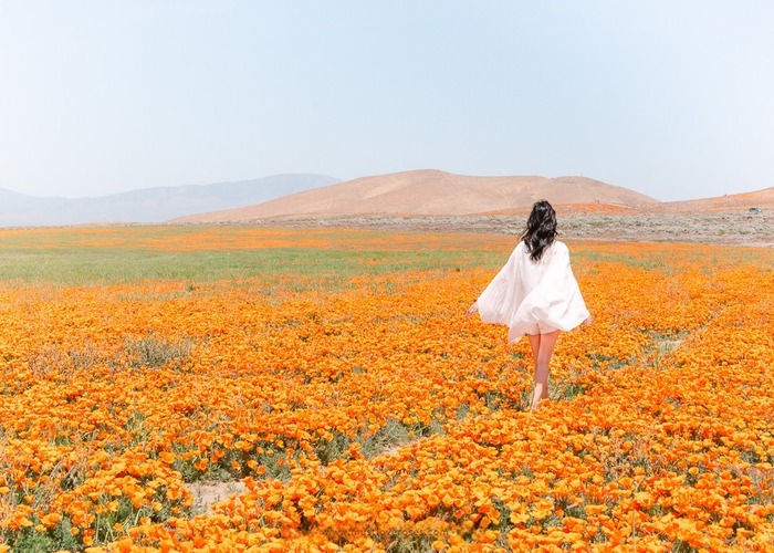 Du lịch Mỹ mùa xuân - Ghé thăm Antelope Valley - California