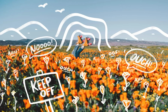 Du lịch Mỹ mùa xuân - Ghé thăm Antelope Valley - California