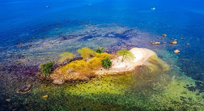 Hòn Đồi Mồi cực kỳ bắt mắt với nước biển trong xanh. Ảnh: Internet