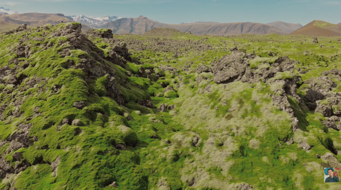 Vùng đất rộng lớn phủ đầy rêu xanh mềm mại, hình thành sau vụ phun trào núi lửa Laki lịch sử (1783-1784)