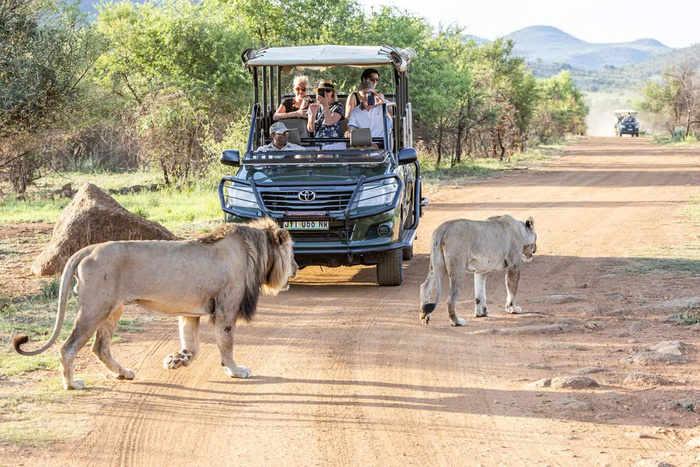 Kinh nghiệm du lịch Nam Phi mùa xuân - Khám phá Johannesburg