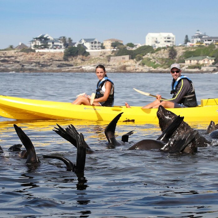 Kinh nghiệm du lịch Nam Phi mùa xuân - Mùa lý tưởng để đi vui chơi ngoài trời