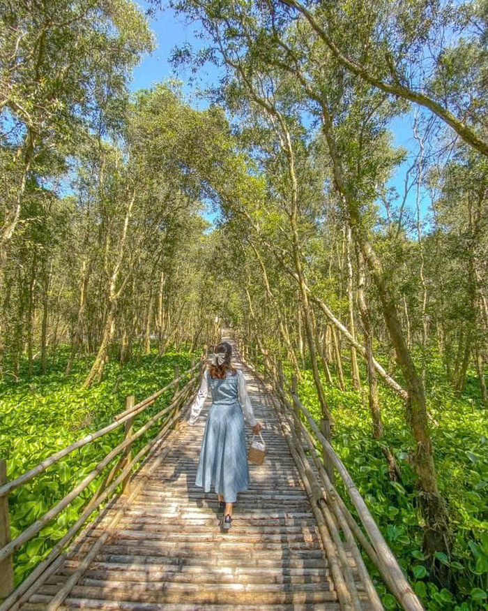 Kinh nghiệm du lịch rừng tràm Trà Sư An Giang – Thời điểm ghé thăm lý tưởng