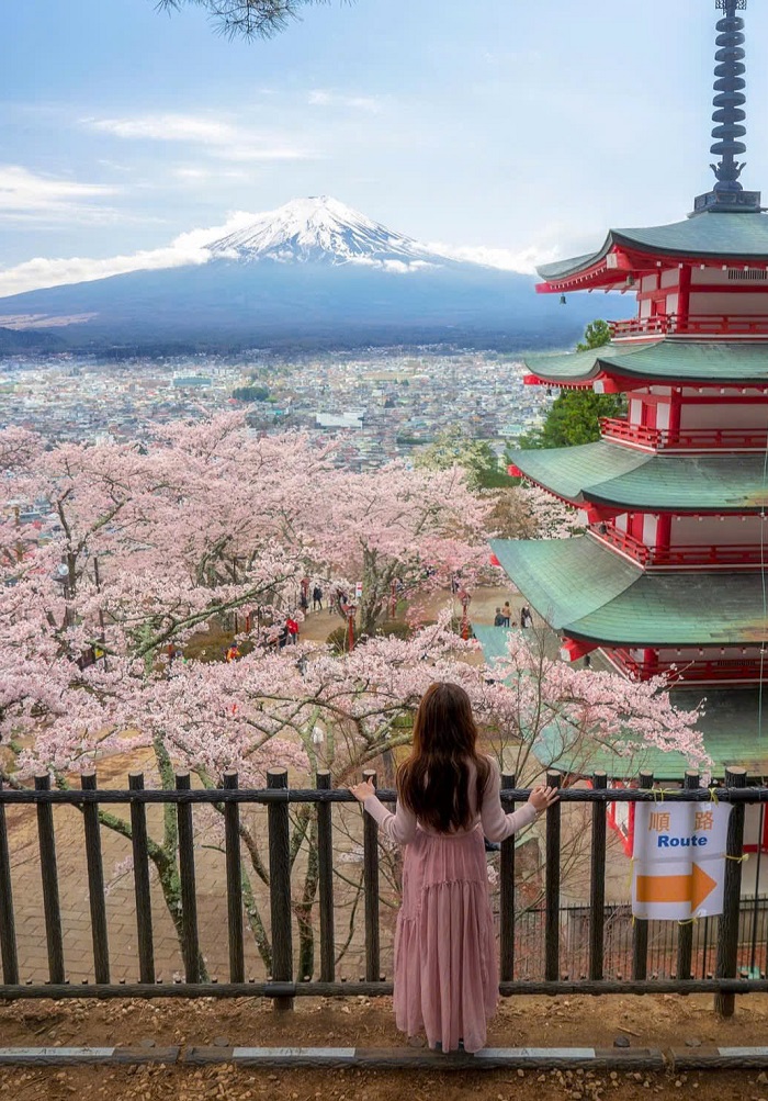 Mùa xuân đến Ngôi chùa đẹp ở Nhật Bản Chureito ngắm hoa anh đào bung nở