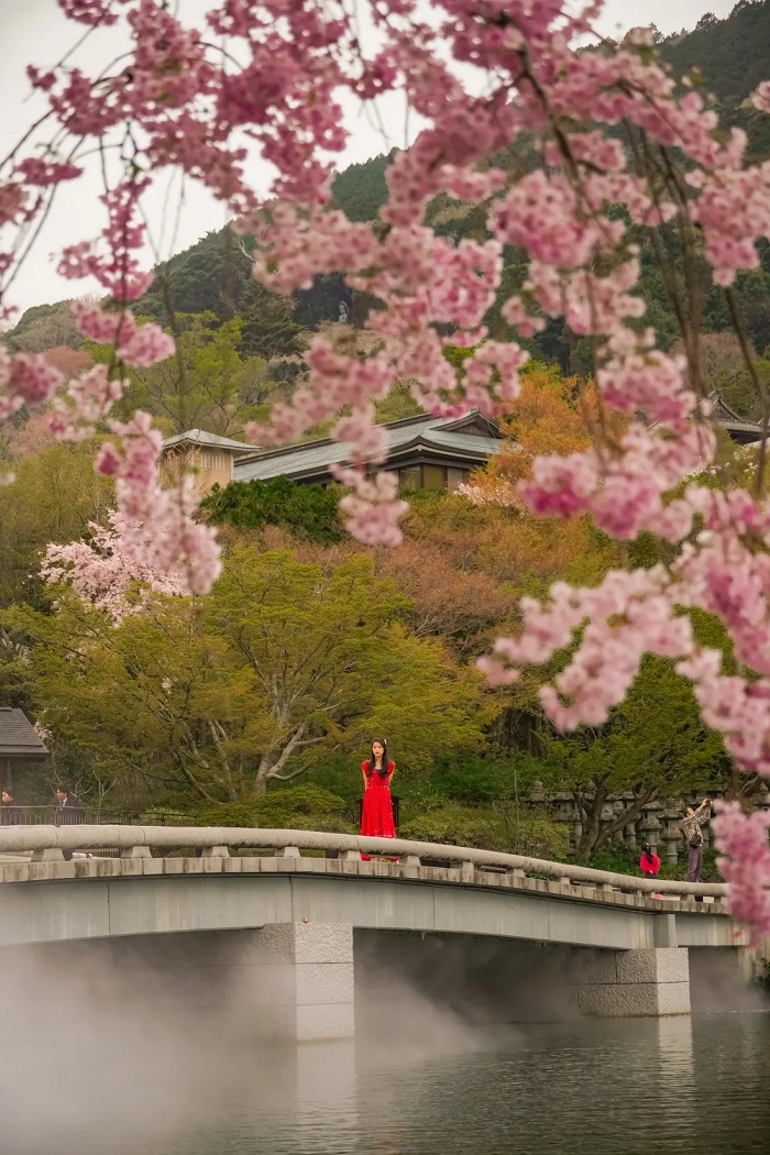 Khuôn viên mộng mơ tại Ngôi chùa đẹp ở Nhật Bản Katsuoji 