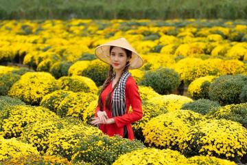 Top những làng hoa miền Tây đẹp nức tiếng với khung hình "triệu like"