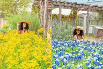 Du lịch Mỹ mùa xuân: “Thời điểm vàng” để tham gia các lễ hội sôi động, ngắm hoa và leo núi