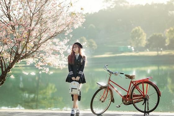 Lịch trình 3 ngày du lịch Đà Lạt dịp Tết cho chuyến đi đầu năm