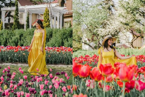 Bạn có biết địa điểm du lịch Canada mùa xuân nào đang 'hot' nhất hiện nay?