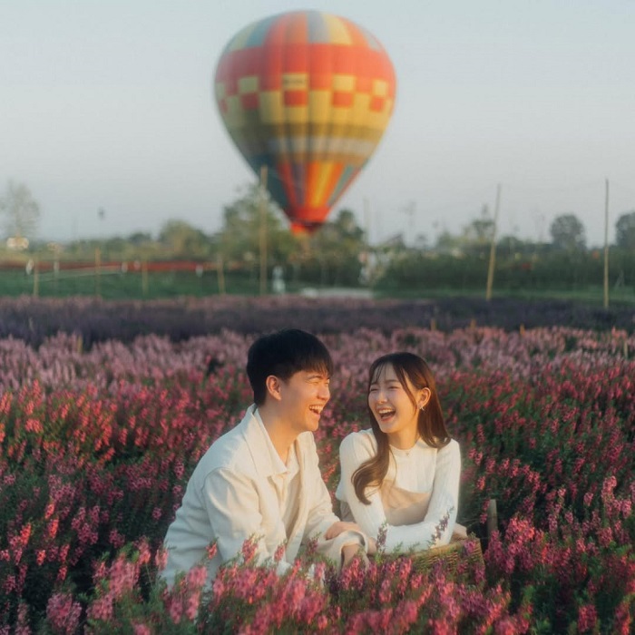 I Love Flower Farm là một trong những vườn hoa đẹp nhất Chiang Mai lên hình bao đỉnh