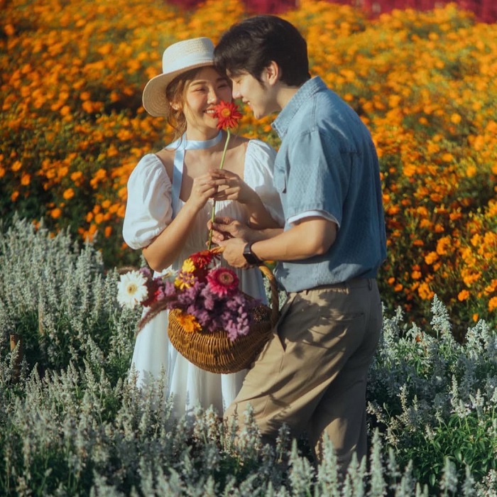 I Love Flower Farm là một trong những vườn hoa đẹp nhất Chiang Mai có diện tích rộng lớn