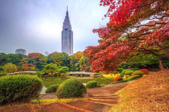Mô tả mùa thu tại Seoul