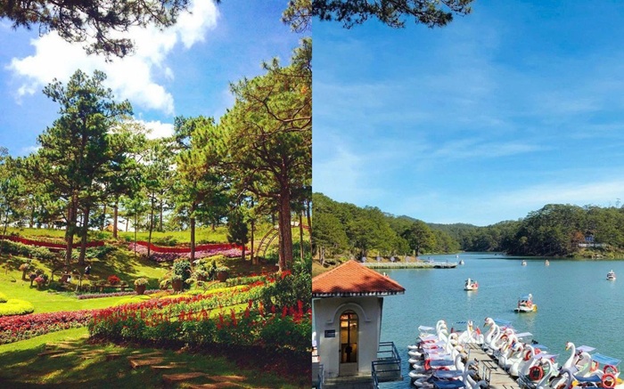 Thung lũng tình yêu vào mùa hè ở Đà Lạt. Ảnh: Sưu tầm.