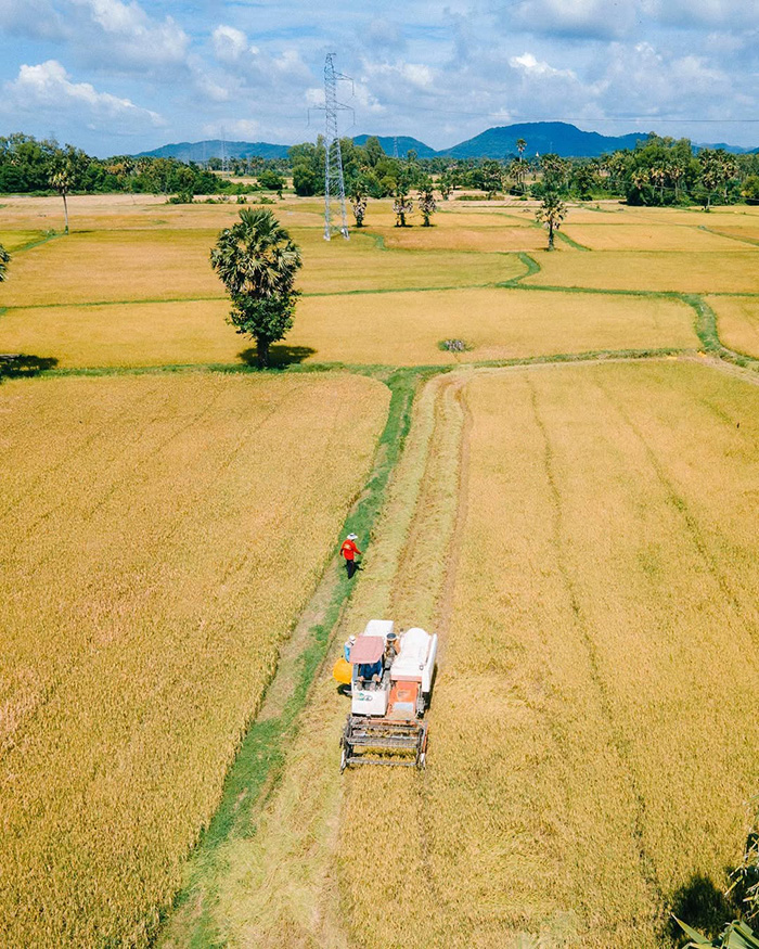 Làng Chăm Châu Giang tuyệt đẹp trong cẩm nang du lịch An Giang