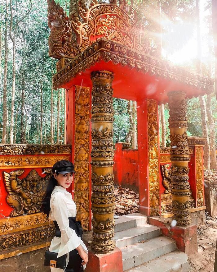 Đừng bỏ lỡ cơ hội ghé thăm chùa Dơi Sóc Trăng trong hành tình du lịch miền Tây