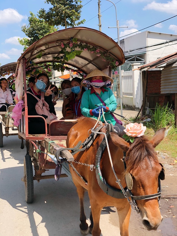 Tham quan cồn Thới Sơn Tiền Giang bằng xe ngựa