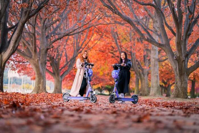 Nhiều người thường lựa chọn ghé hồ Burley Griffin Úc vào mùa thu