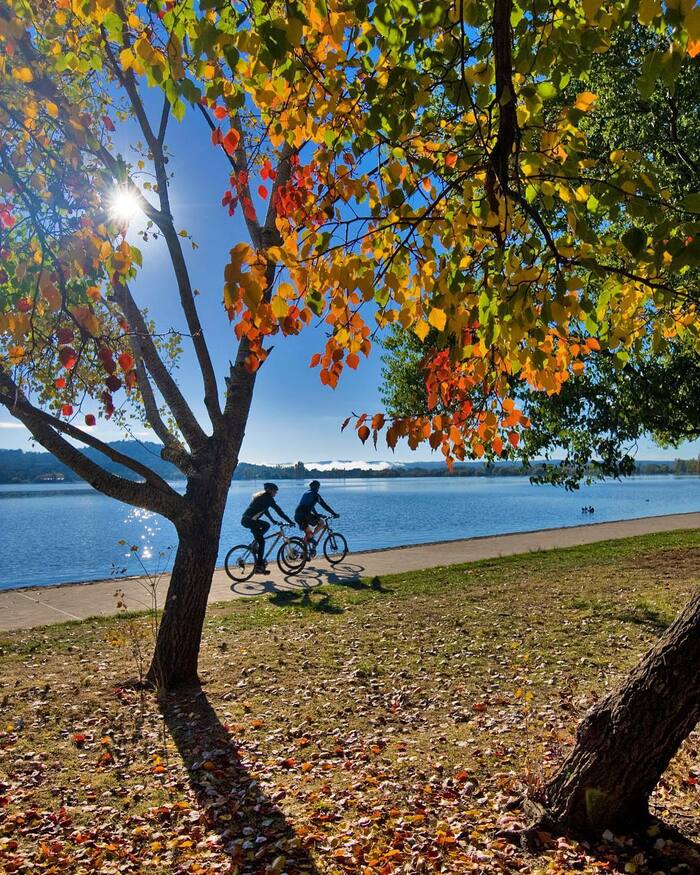 Đạp xe vãn cảnh hồ Burley Griffin Úc 